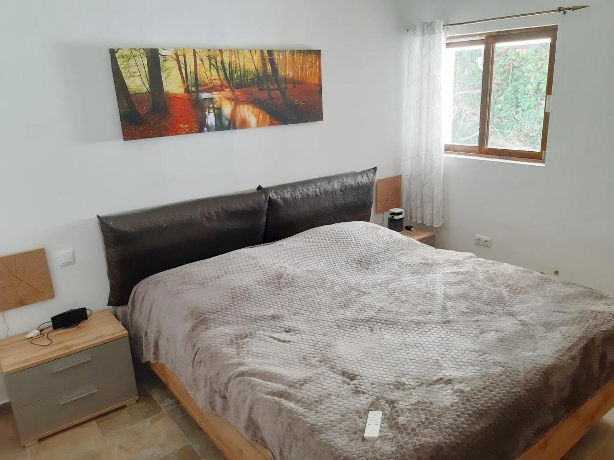 Schoene Wohnung In Puerto De La Cruz Mit Garten. المظهر الخارجي الصورة