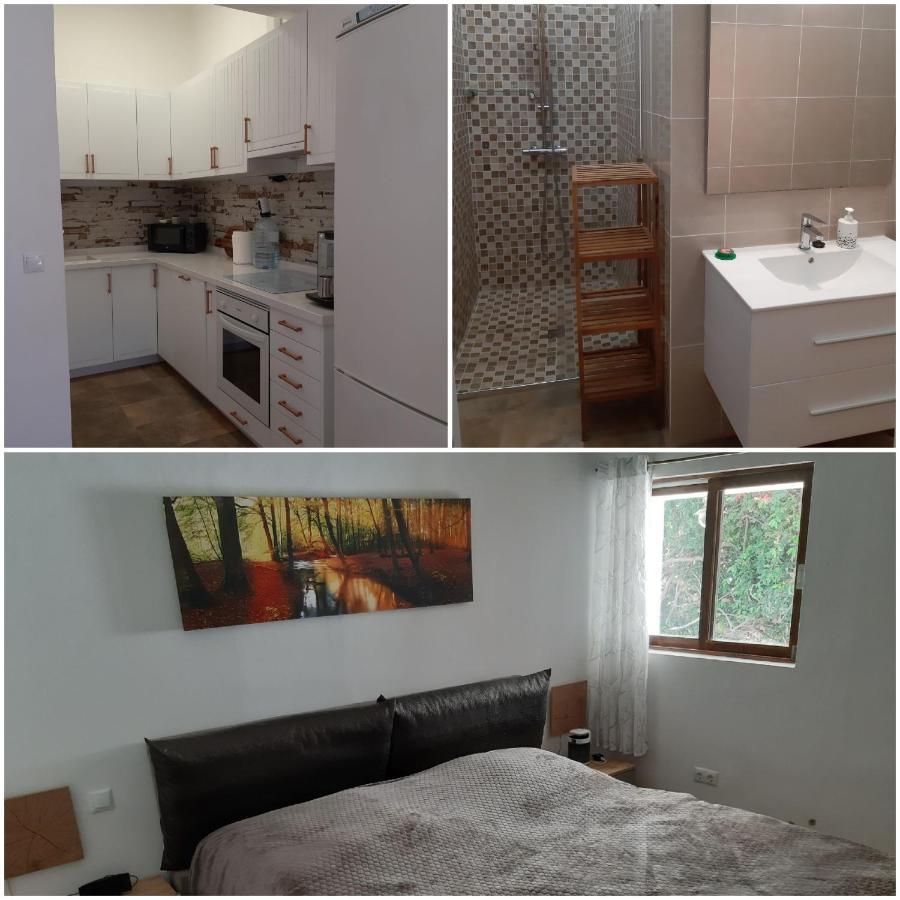 Schoene Wohnung In Puerto De La Cruz Mit Garten. المظهر الخارجي الصورة